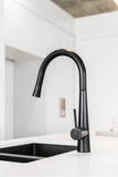 Round Pull Out Kitchen Mixer Tap - Matte Black - MK07